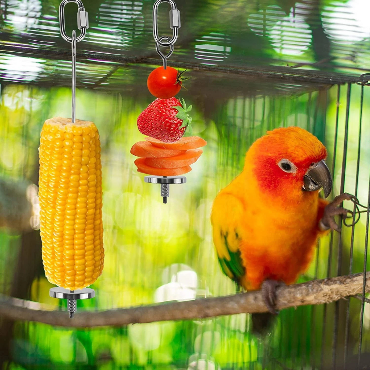23cm Food Meat Stick Spear Fruit Holder Pet Stainless Steel Bird Cage Skewer