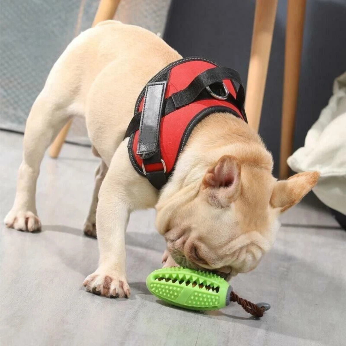 Dog Food Treat Puzzle Ball Puppy Interactive Toy Training Play Ball