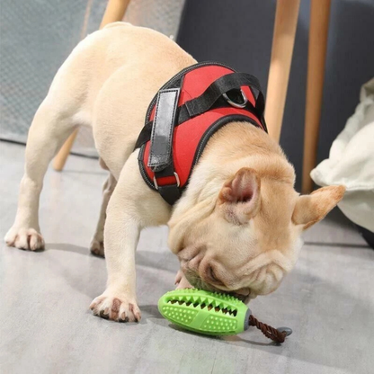 Dog Food Treat Puzzle Ball Puppy Interactive Toy Training Play Ball