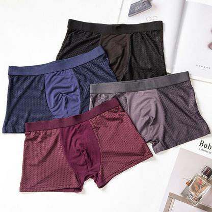 Ice Silk Mesh Boxer Briefs Large 4Pack Mens Bamboo Soft Underwear Summer Shorts