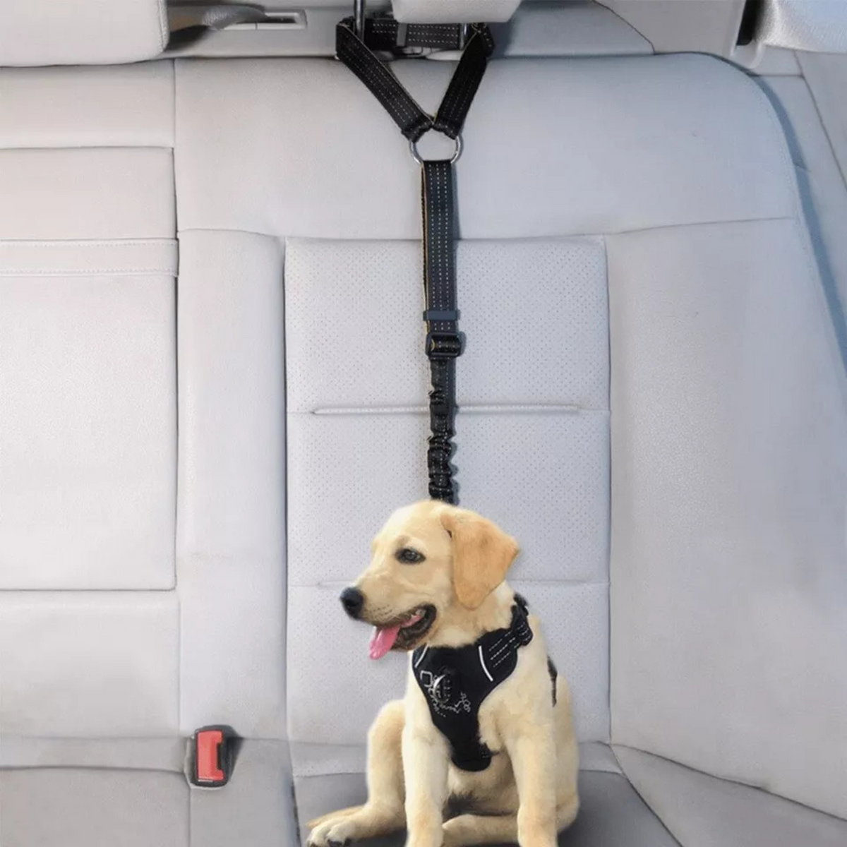 Black Lead Travel Safety Harness Anti Shock Bungee Headrest Pet Dog Cat Car