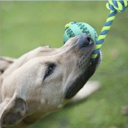 Blue Pet Dog Chew Molars Toy Rope Indestructible Bite Resistant Toy