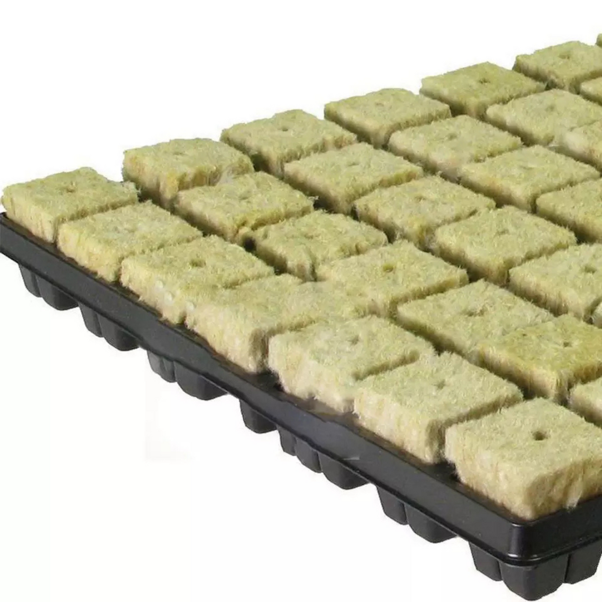 Planting Cloning Propagation Plug Hydroponic Grow Starter Rockwool Cubes 50x