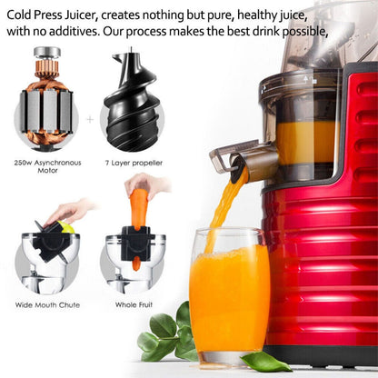 Wide Mouth Vegetable Processor Professional Whole Fruit Cold Press Slow Juicer