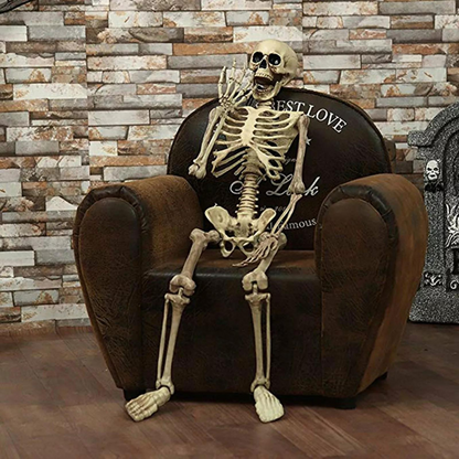 Full Body Model Halloween 90cm Human Skeleton Skull Medical Party House Props