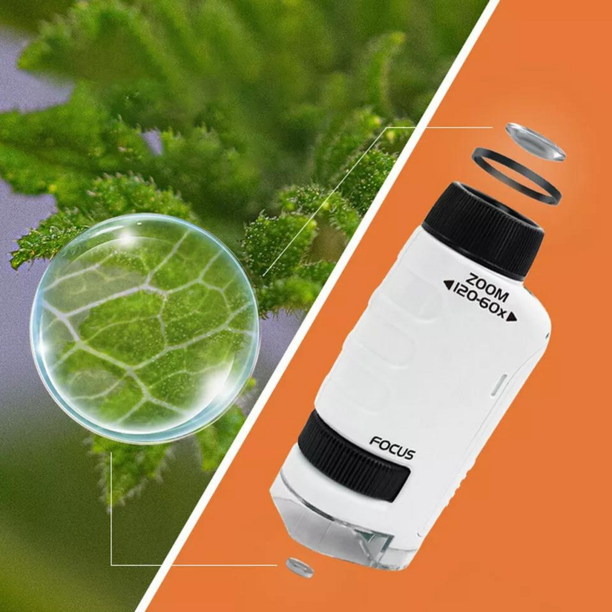 Portable Pocket Microscope Minilabsters Miniscope Kids, 60x-120x White