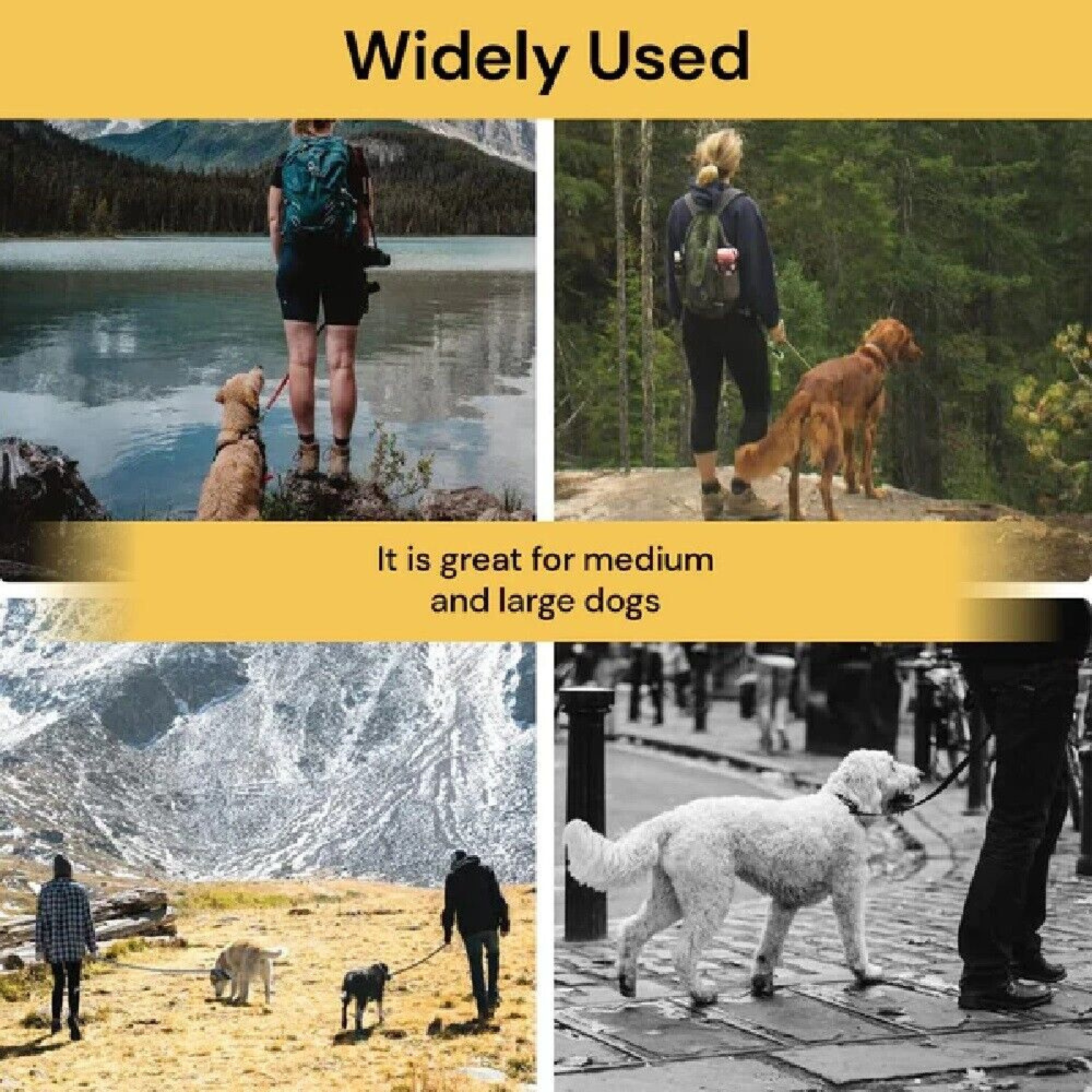 Pet Puppy Leash Recall Rope 15M Long Dog Training Nylon Obedience Slip