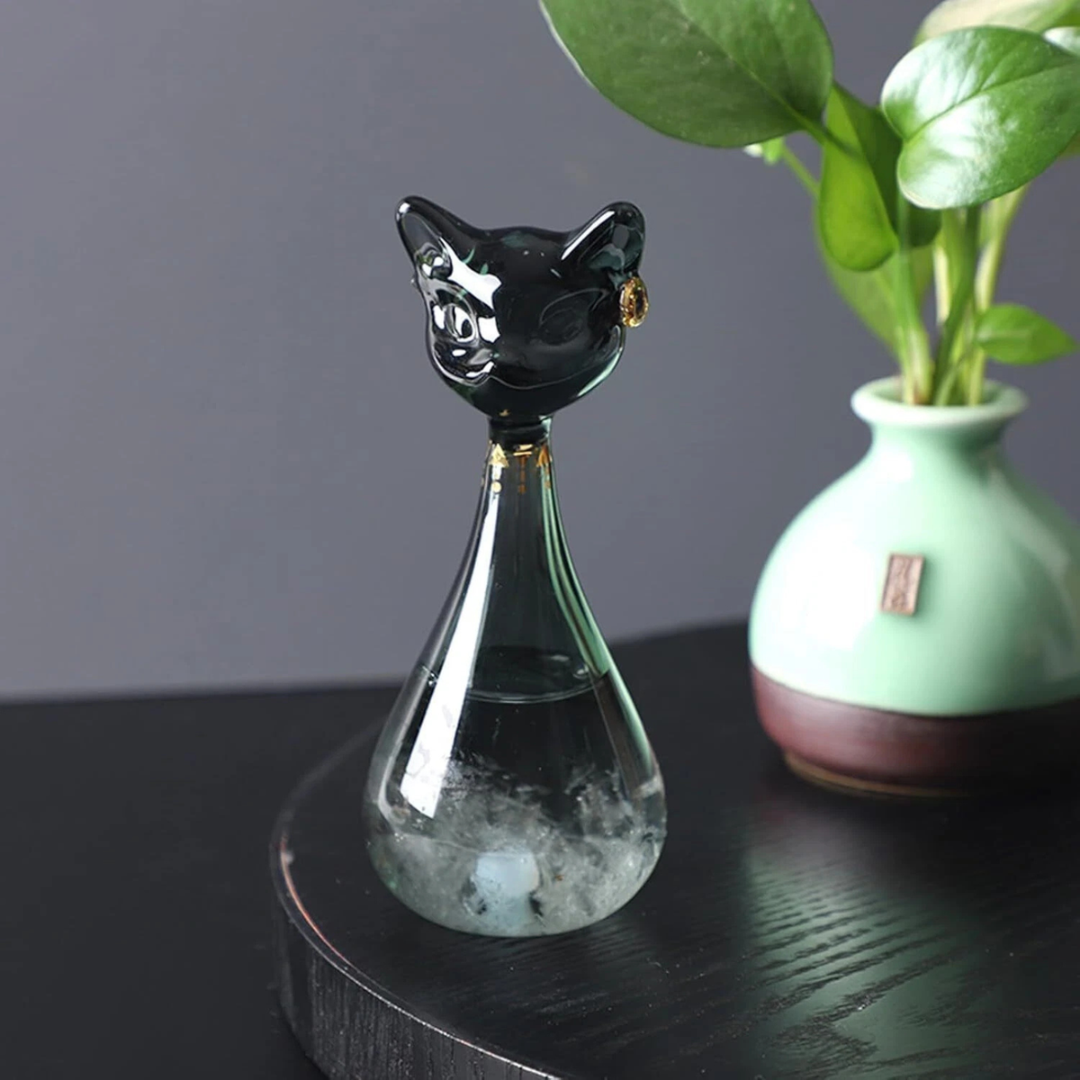 Cat Shape Storm Glass Weather Forecaster Water Level Thermometer Black