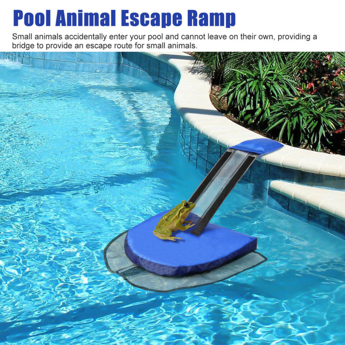 Blue Escape Ramp Swimline Swimming Pool Rescue Critter Animal Save Frog Log