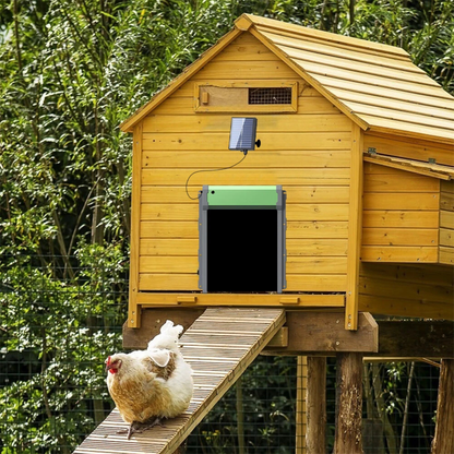 Automatic Chicken Coop Door Solar Powered Poultry Farm Hatch