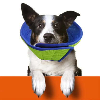 Pet Dog Cat Elizabethan Recovery Cone Collar Adjustable M 30-35cm