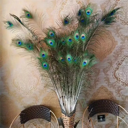 10x Vase Decor Vase Eyes Feathers 25-30cm DIY Natural Peacock Tail