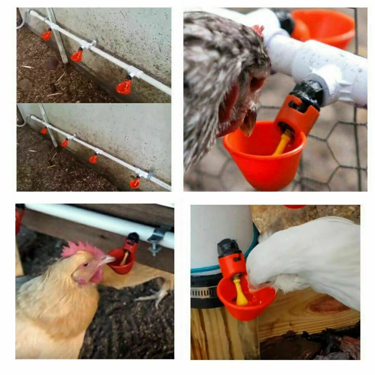 Poultry Chook Bird Drinker Chicken Waterer 10x Automatic Cups Water Feeder