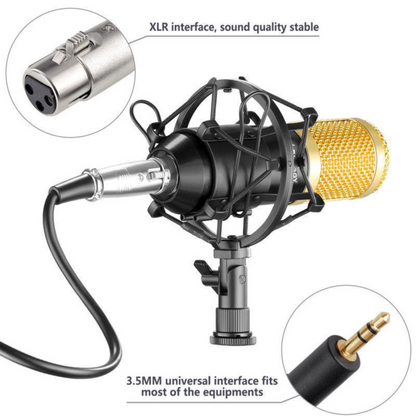 Arm Stand Sound Studio Condenser Microphone Suspension Boom Kit BM800