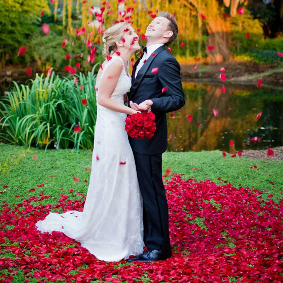 1000pcs Rose Petals Wine Red Silk Flower Wedding Event Scatters Flowers