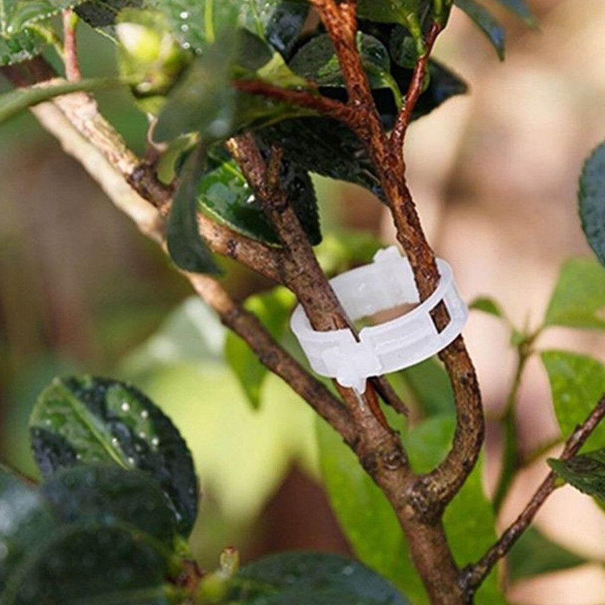 Veggie Plant Support 100pcs Clips Tomato Trellis Twine Greenhouse Garden