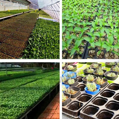 12x 72 Hole Insert Propagation Nursery Seedling Plant Seed Starter Box