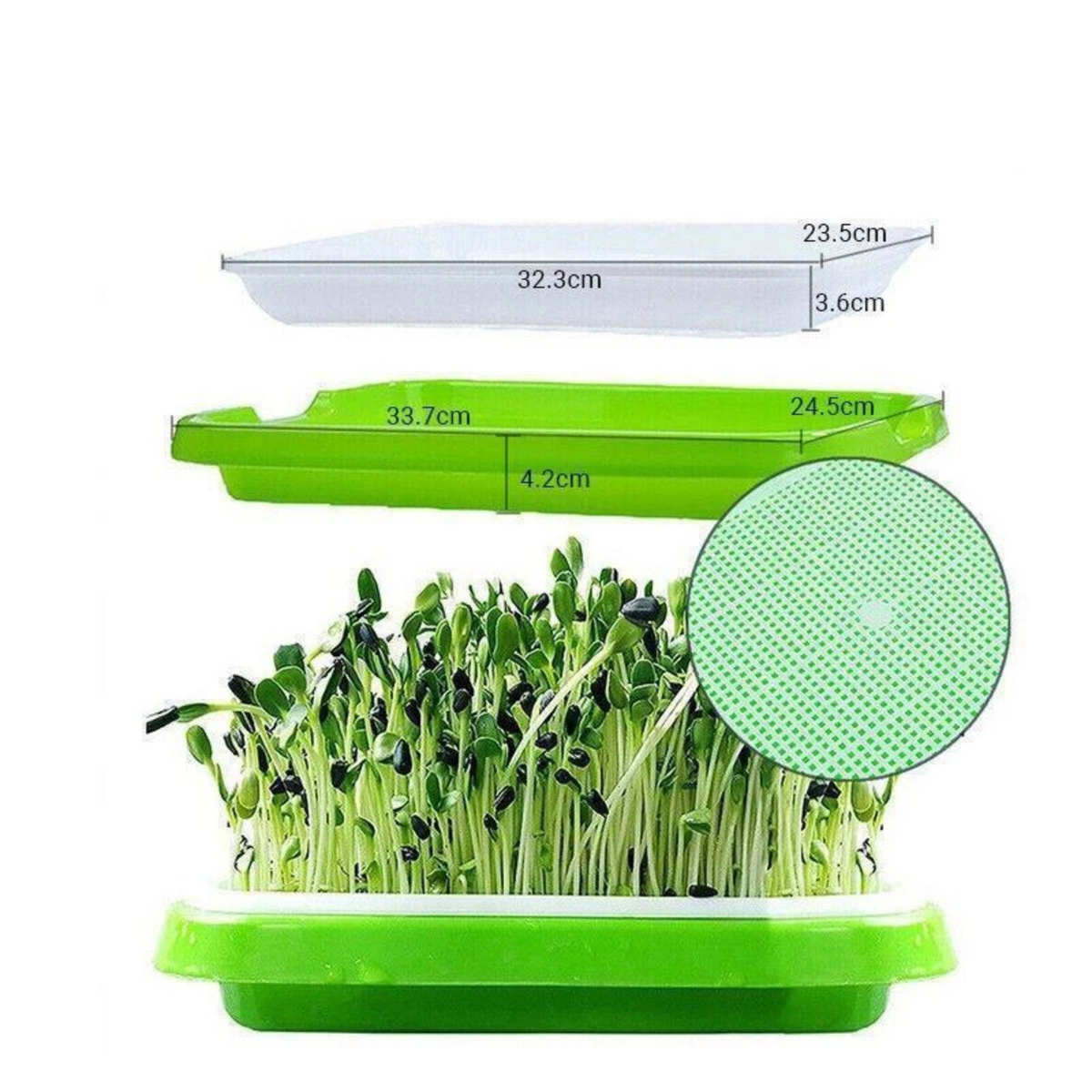 Germination Bean Sprout Planting Microgreens tray, Seeding Cloning Hydroponic