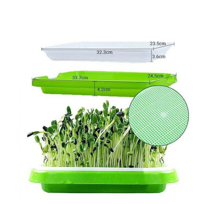 Germination Bean Sprout Planting Microgreens tray, Seeding Cloning Hydroponic