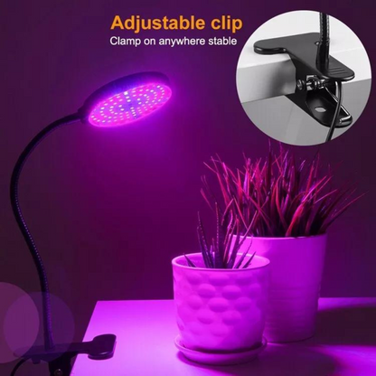 UV Growing Lamp Hydroponic Indoor Plant Flower USB LED Grow Light Dimming