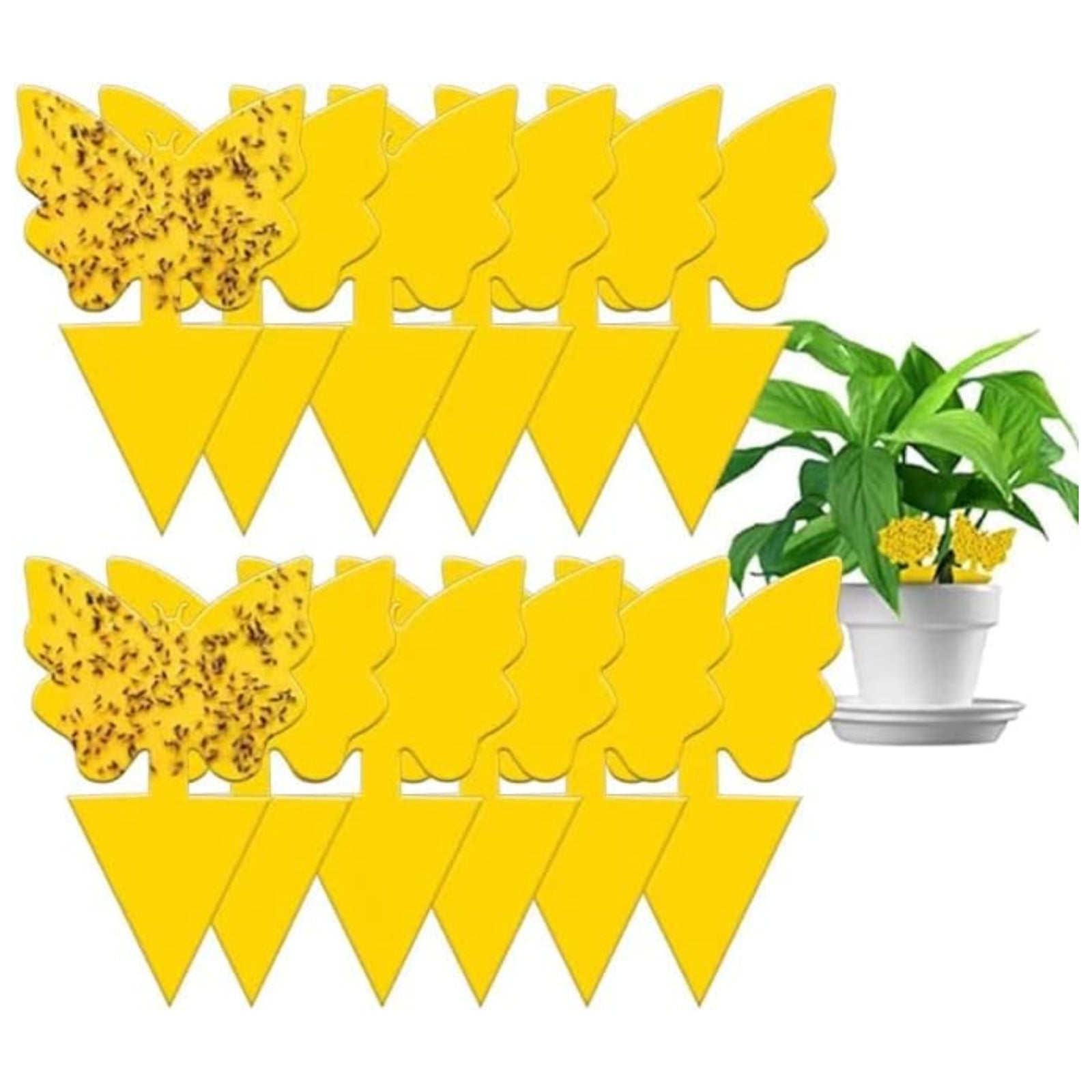 100pcs Butterfly Insect Killer Whitefly Thrip Fruit Fly Dual Sided Sticky Trap