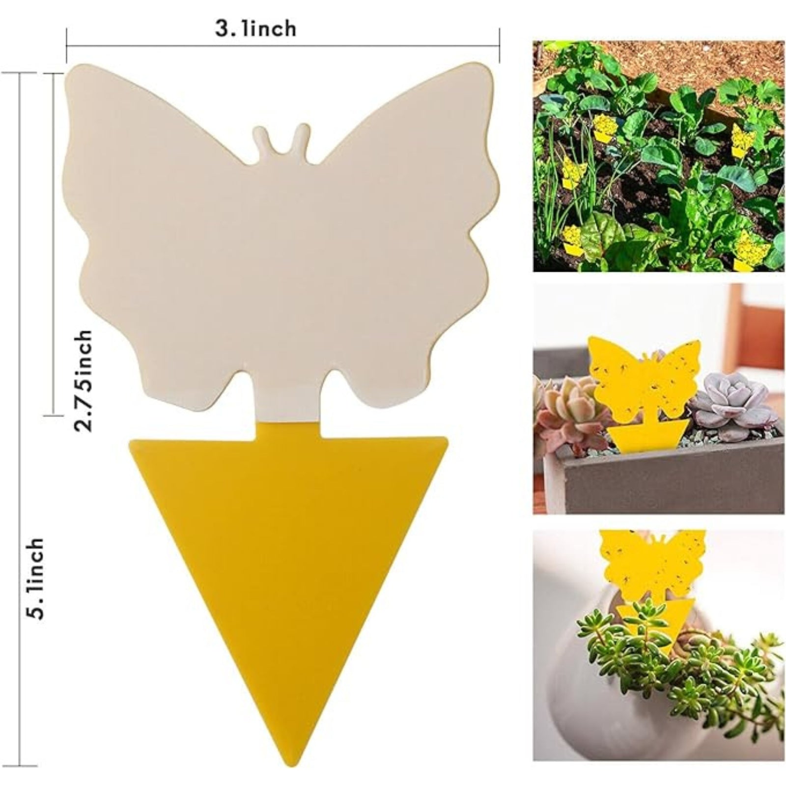 100pcs Butterfly Insect Killer Whitefly Thrip Fruit Fly Dual Sided Sticky Trap