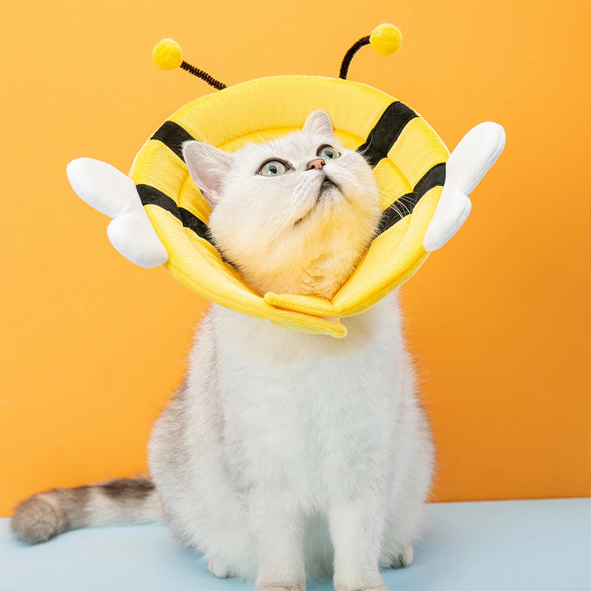 Recovery Elizabethan Cone Cat Dog Yellow Bee Size L Protective Gear Pet