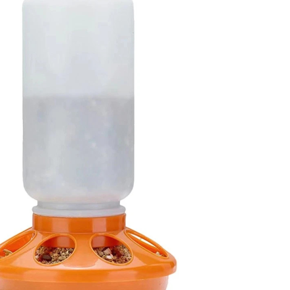 Poultry Chicken Feeder Waterer Set Kettle Orange Automatic Feeding Bowl