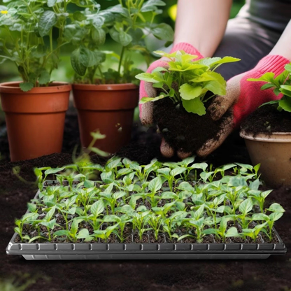 Seedling Tray 5 Pack 72 Cell Nursery Starter Grow Propagation Plant Set