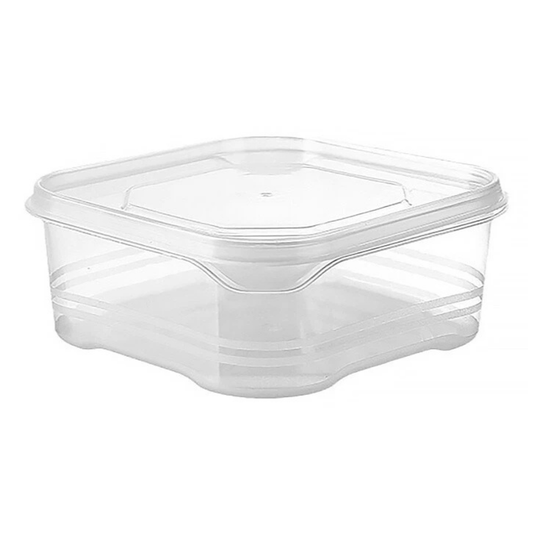 10x Food Organizer Vegetable Fridge Storage Containers 350ml Set