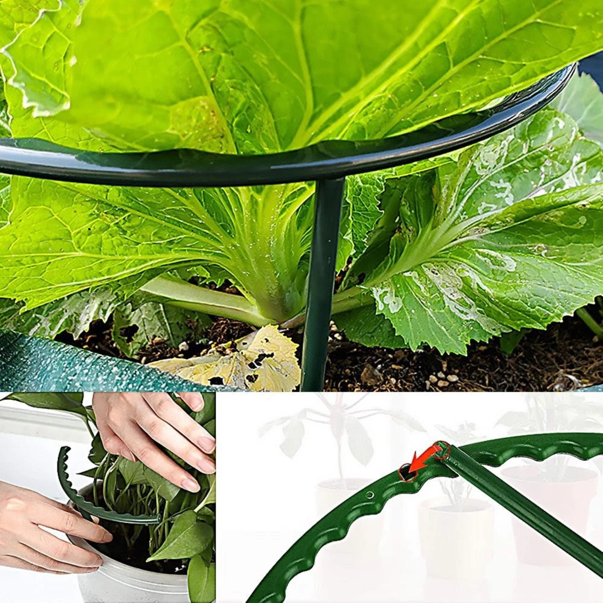 8x Garden Plant Support Stakes Climbing Frame Stand Set 15x14.5cm