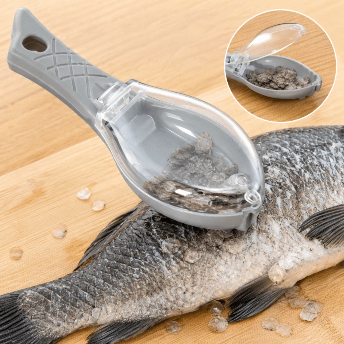 Fish Scale Scraper with Container Kitchen Seafood Cleaning Removal Tool