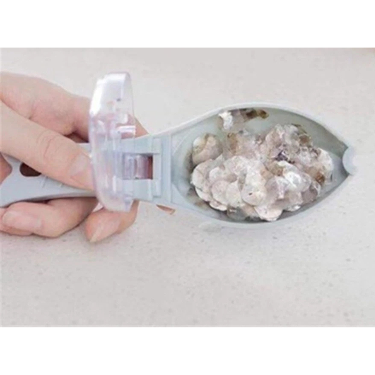Fish Scale Scraper with Container Kitchen Seafood Cleaning Removal Tool