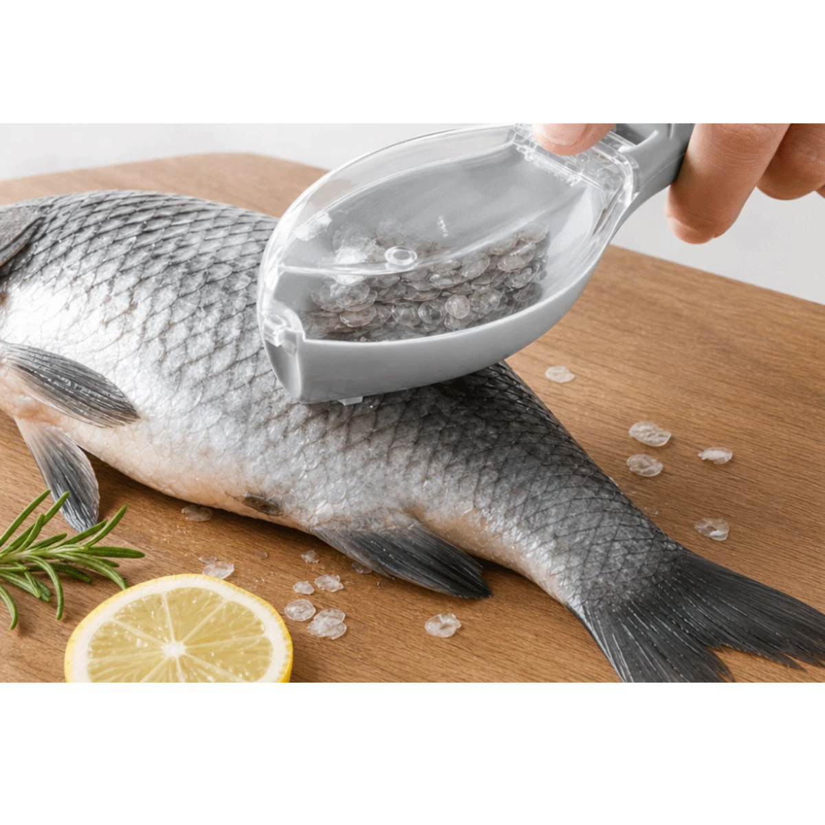 Fish Scale Scraper with Container Kitchen Seafood Cleaning Removal Tool