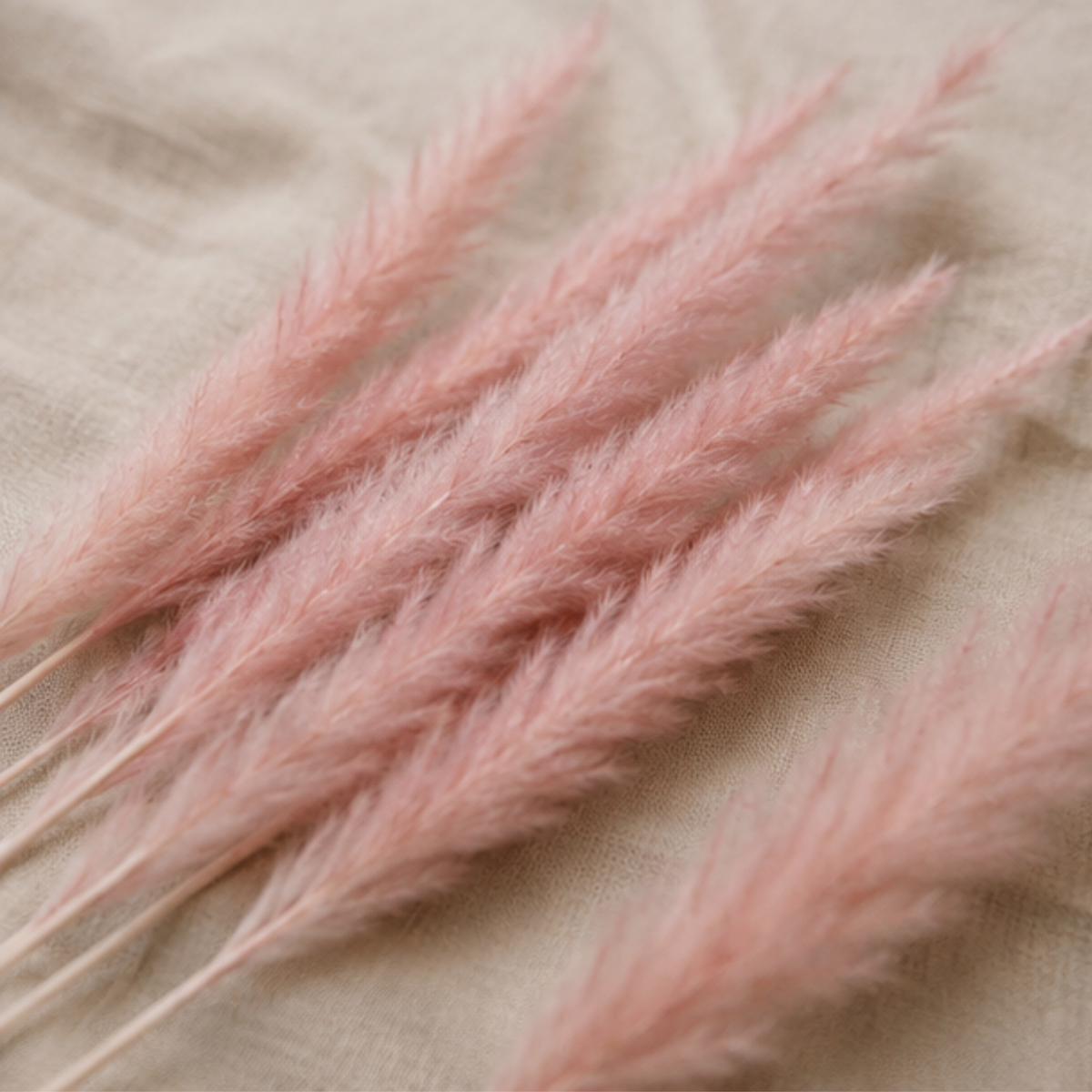 15x Pink Dried Pampas Grass Stems Home Wedding Decor Flowers Arrangement