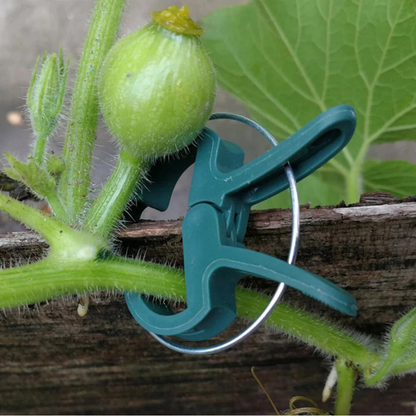 20x Garden Plant Clips Tomato Tie Orchid Support Training Clips Set