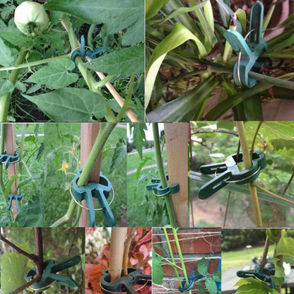20x Garden Plant Clips Tomato Tie Orchid Support Training Clips Set