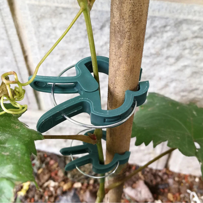 20x Garden Plant Clips Tomato Tie Orchid Support Training Clips Set