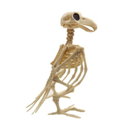 Crow Skeleton Animal Fake Bird Halloween Decoration Scary Model Prop