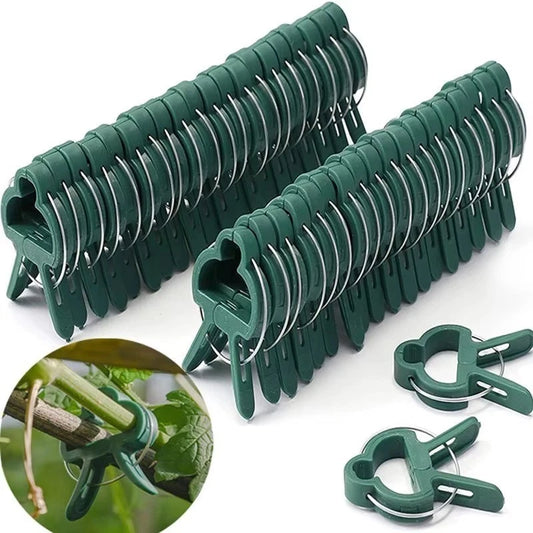 20x Garden Plant Clips Tomato Tie Orchid Support Training Clips Set