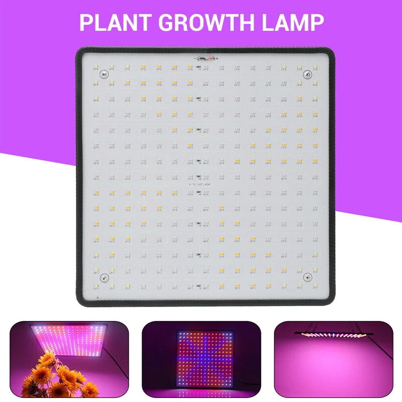 2000W Hydroponic Growing Lamp 25 LED Grow Light Plant Flower Veg Indoor Kits