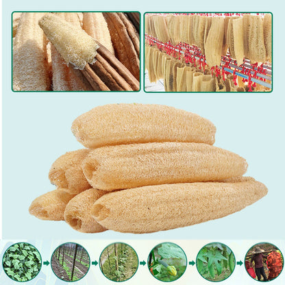 Natural Loofah Sponge Shower Body Brush Exfoliating Skin Washing Dishes
