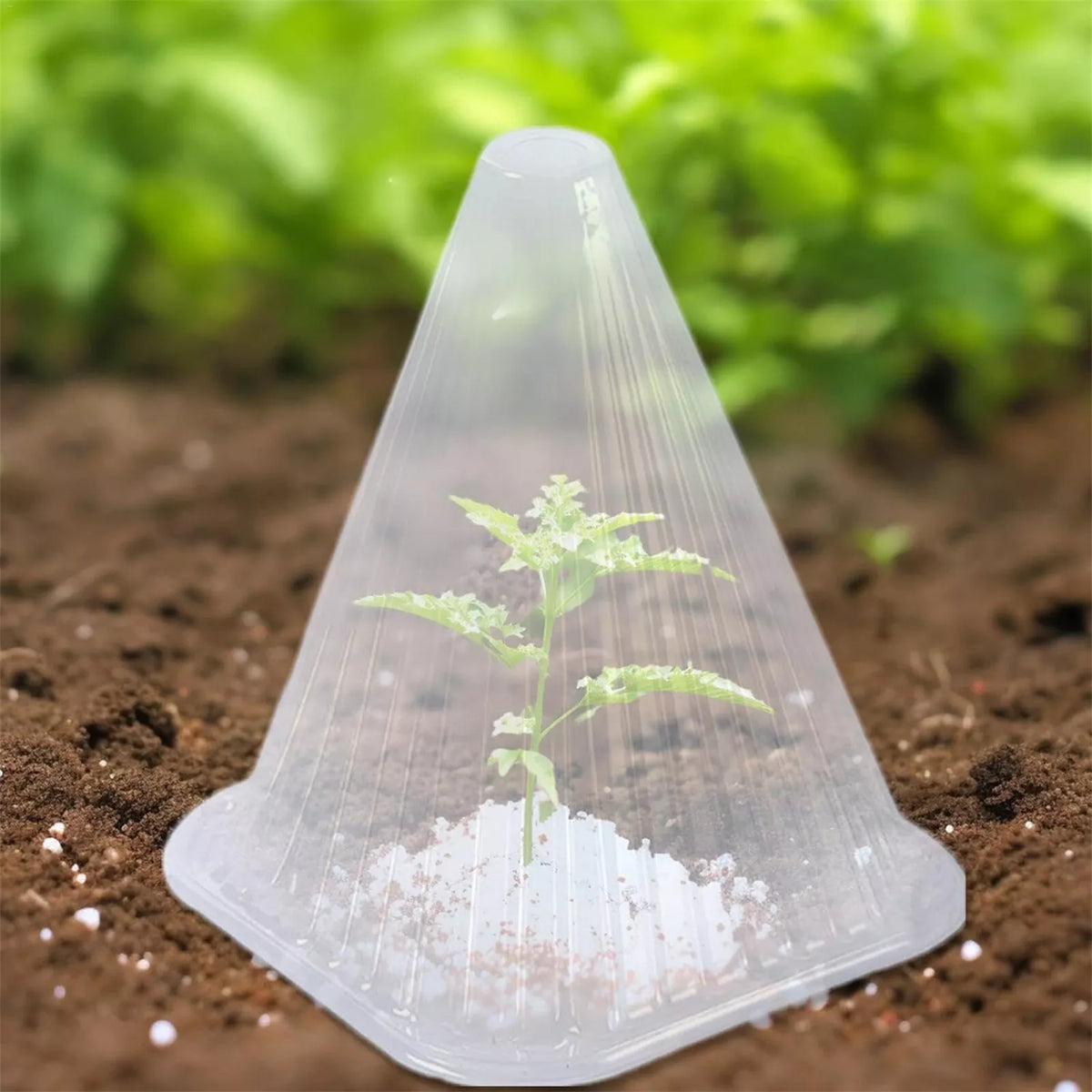 Plants Reusable Covers Garden Cloches Dome Bell Cover 10Pcs Garden Cloches
