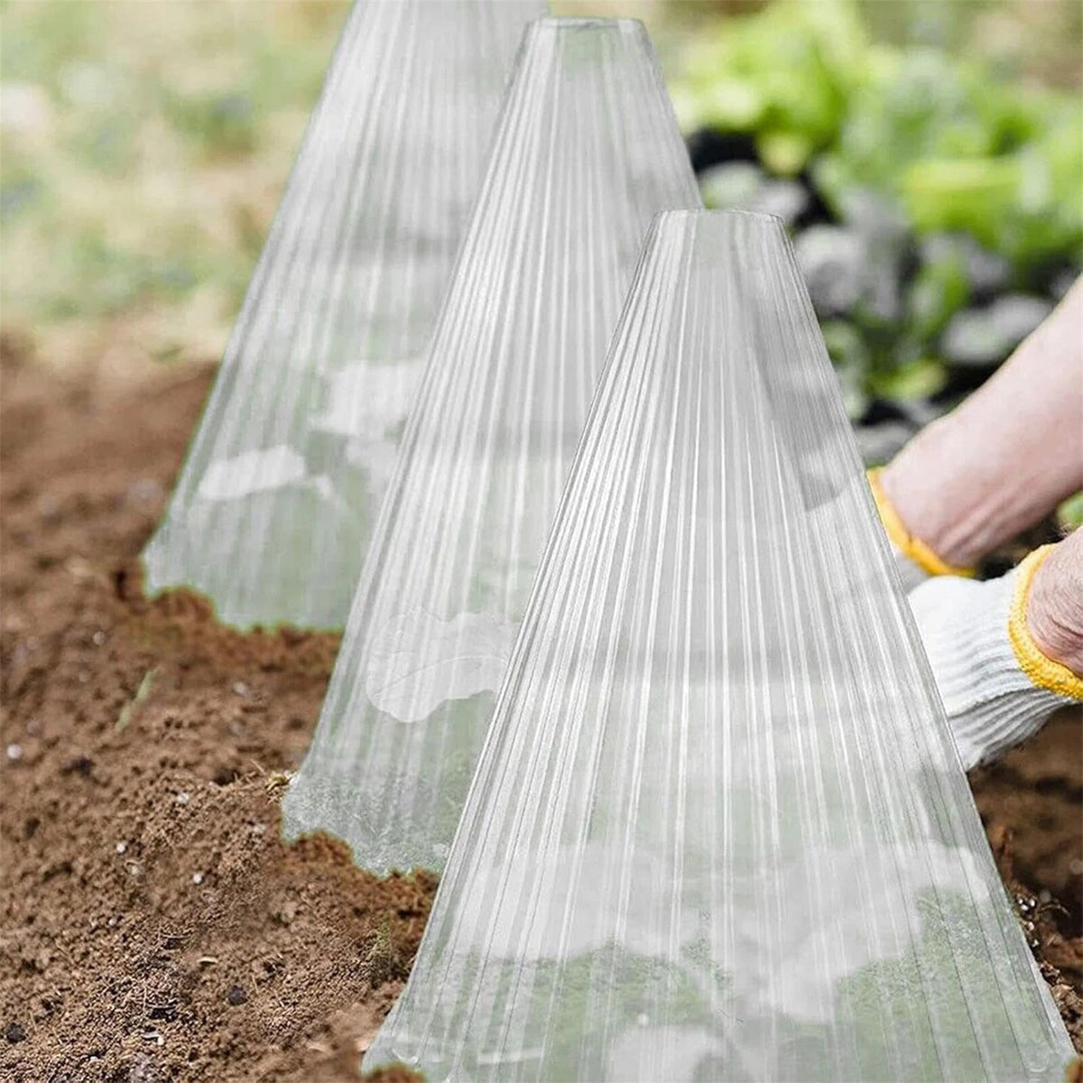 Plants Reusable Covers Garden Cloches Dome Bell Cover 10Pcs Garden Cloches