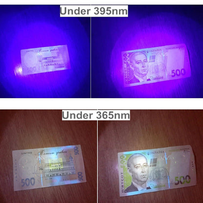 Mini UV LED Torch Light Ultra Violet Inspection Lamp Flashlight Blacklight 395NM