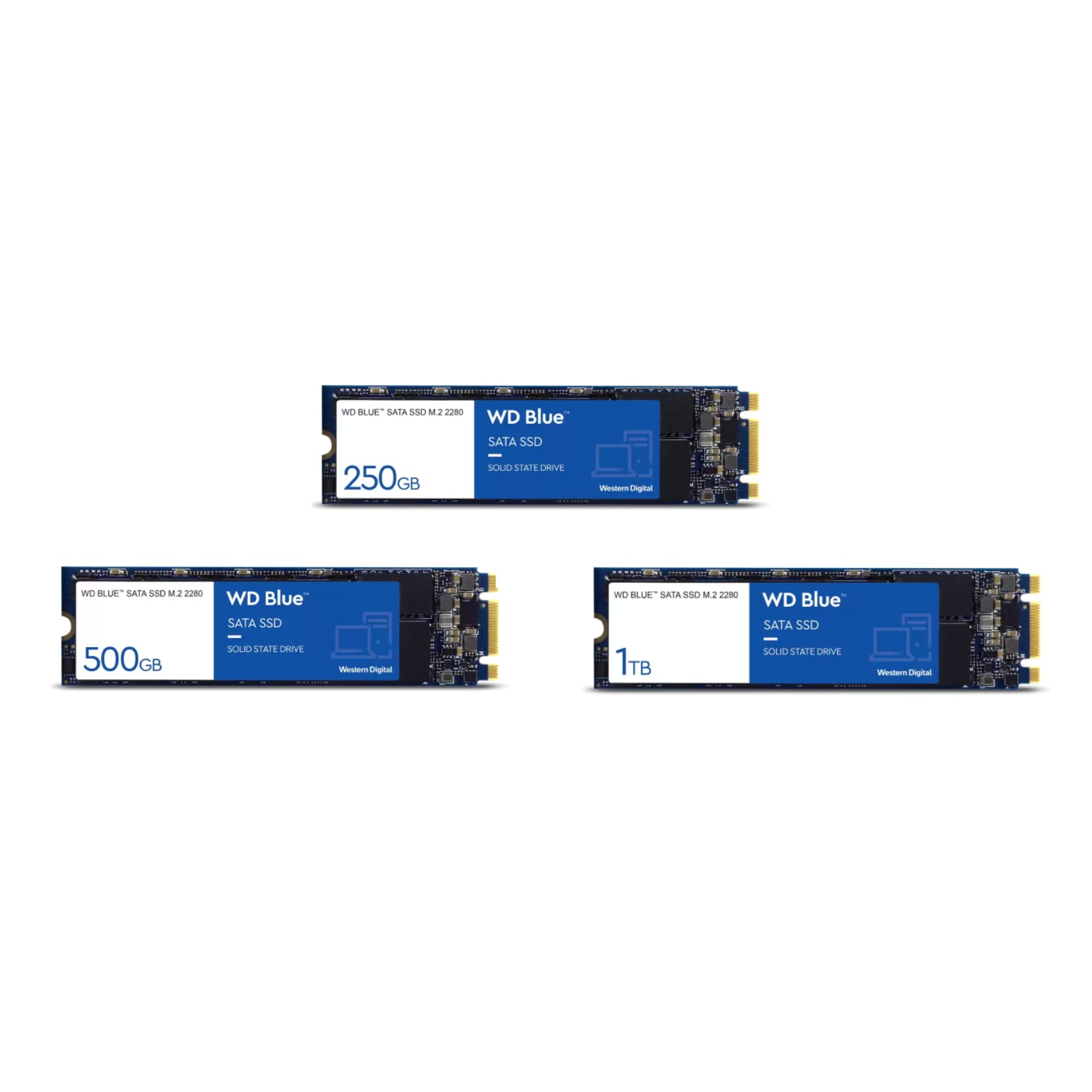 WD Blue 250GB 500GB 1TB SSD 3D Nand M.2 SATA 550MB/S Internal Solid State Drive